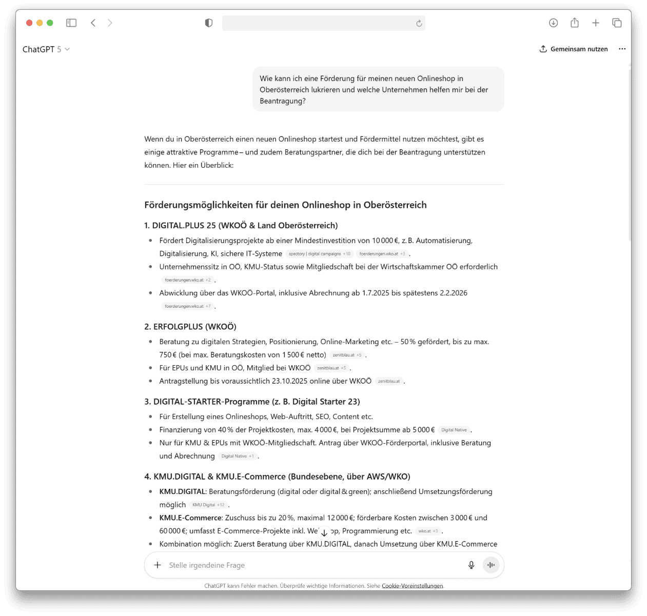 ChatGPT Antwort bzgl. Förderungen von E-Commerce-Projekten